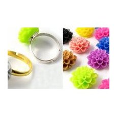 Resin cabochons & flowers
